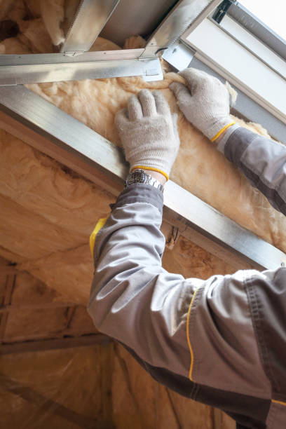 Best Wall Insulation Installation  in Huntington, VA